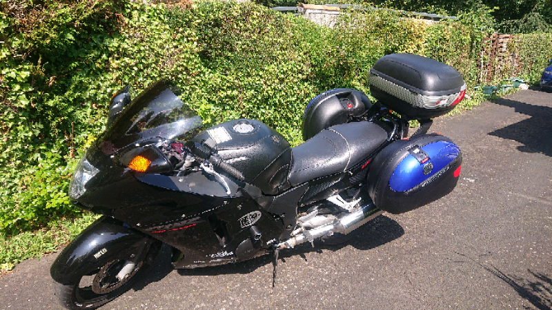 honda blackbird for sale gumtree
